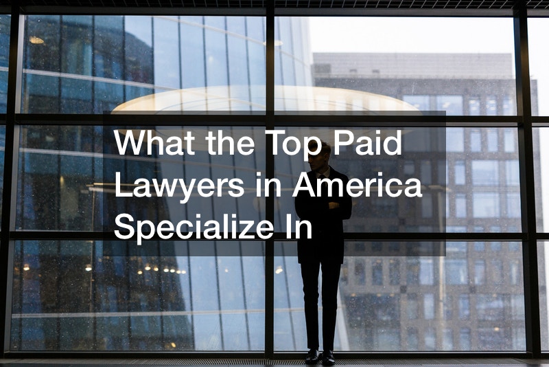 What the Top Paid Lawyers in America Specialize In