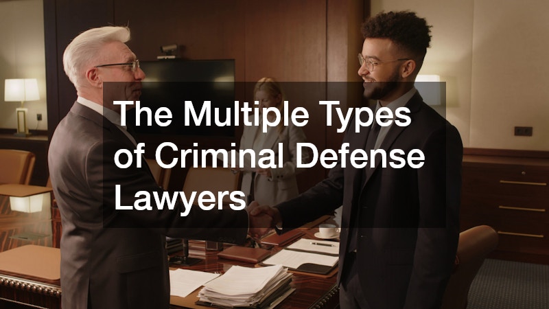 The Multiple Types of Criminal Defense Lawyers